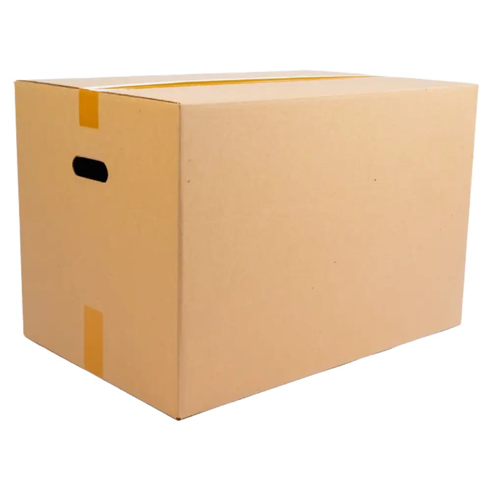 Cardboard Carrying Box - India Packaging Mumbai