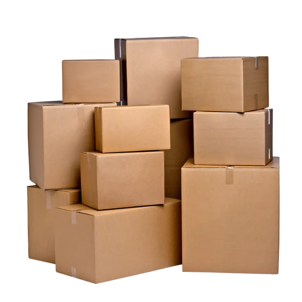 Cardboard Carrying Box - India Packaging Mumbai
