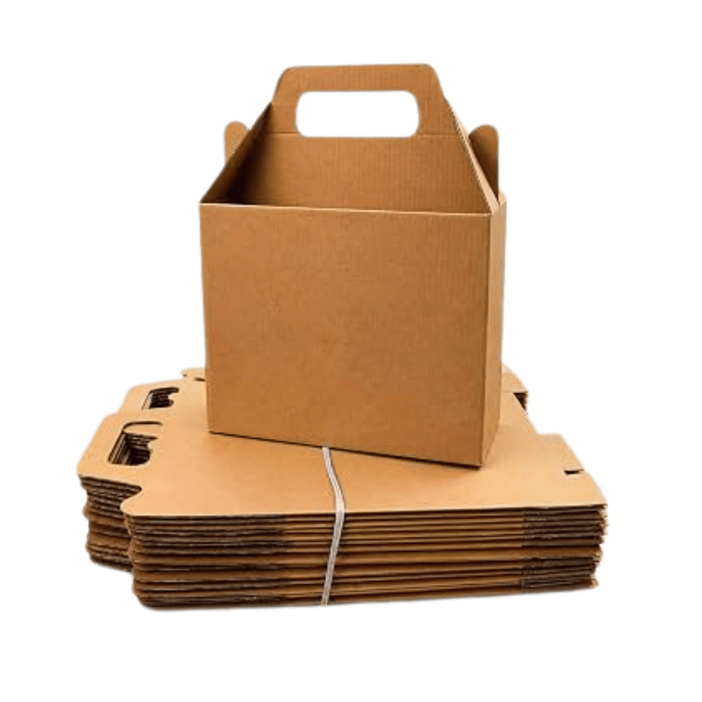 Cardboard Carrying Box - India Packaging Mumbai