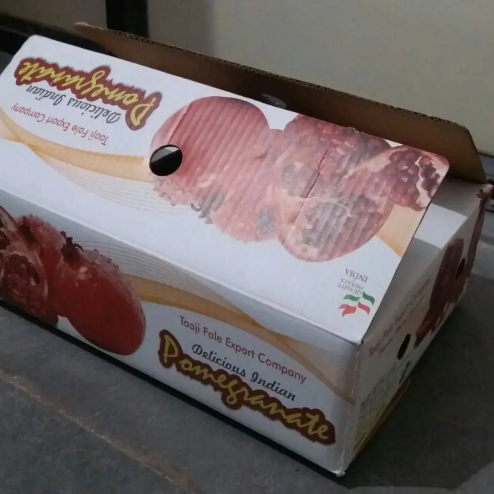 Pomegranate Corrugated Box - India packaging Mumbai